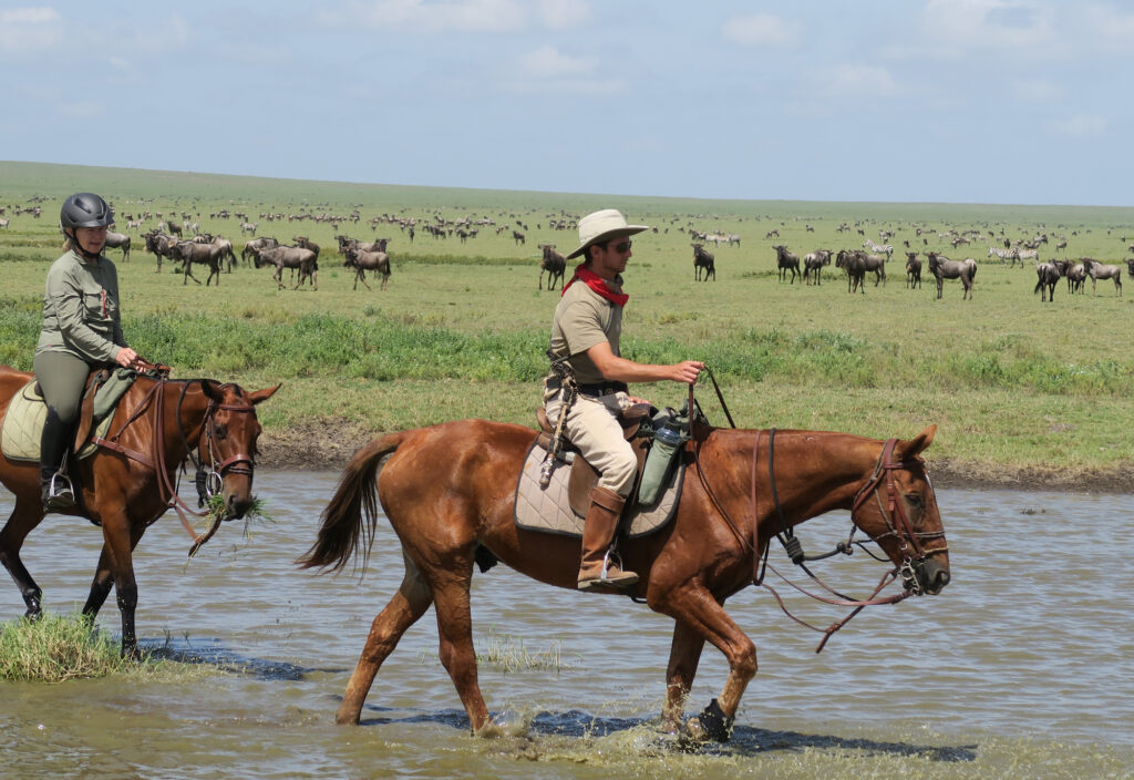 Horse Riding in Tanzania | Horse Back Ride Safaris