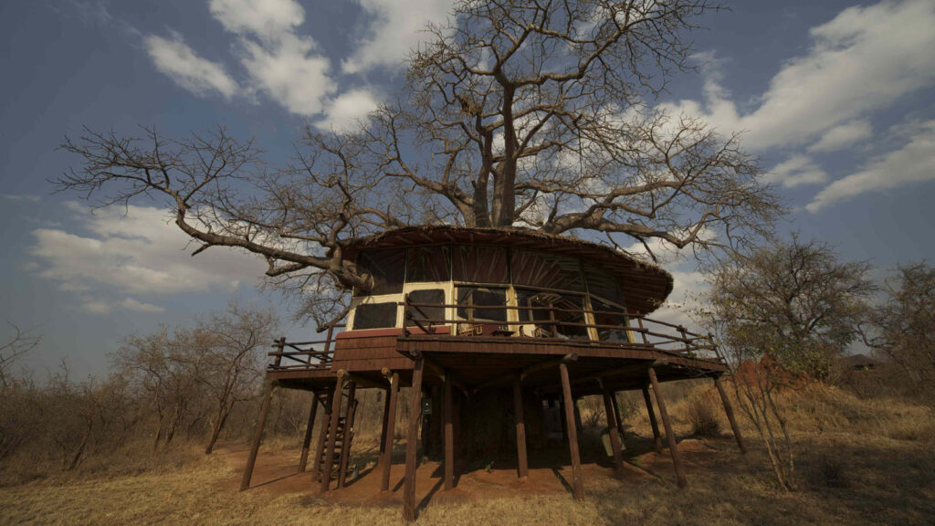 Tarangire Treetops by Elewana