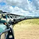 3 Days Tanzania Budget Safari Itinerary - Get a Free Tanzania Safari Quote