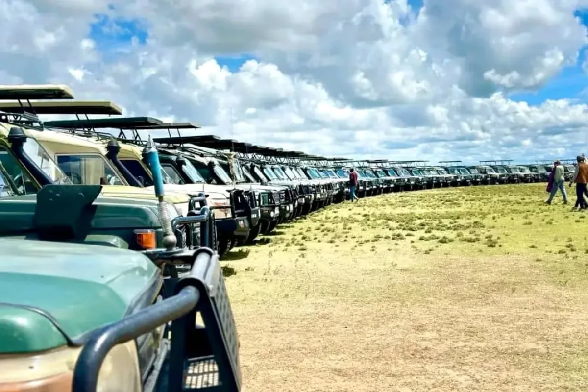 Get Ready for Your Tanzania Safari with Africa Safaris Experience